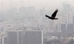 خبرگزاری فارس: هوای آلوده تهران با ورق زدن تاریخ پاک نمی‌شود