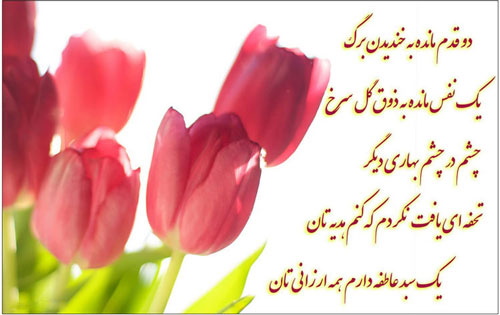 Nowruz-greeting-card-93_-10