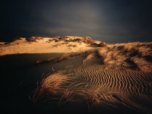 twilight-beach-dunes_42011_600x450