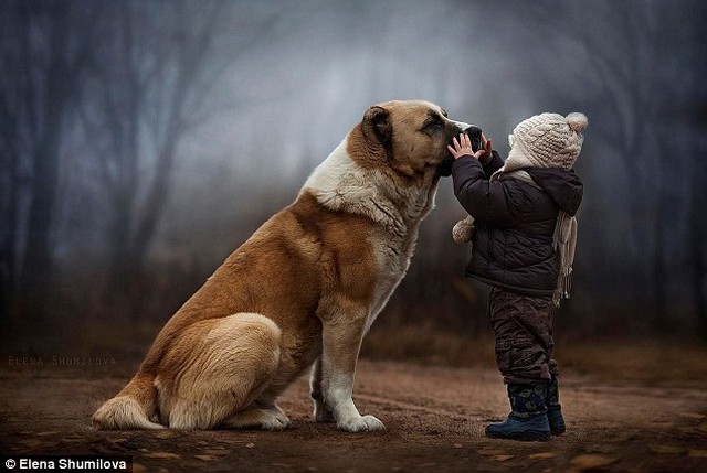 سگ هایی که از صاحبانشان بزرگتر هستند (عکس)