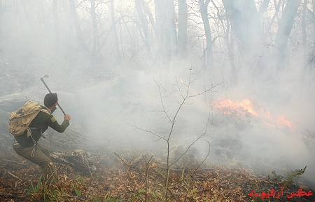 آتش سوزی در جنگل های میمند